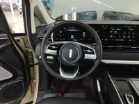 Wey Gaoshan 2023 (36100 км)