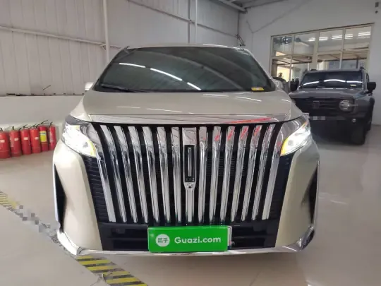 Wey Gaoshan 2023 (36100 км)