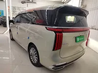 Wey Gaoshan 2023 (36100 км)