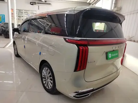 Wey Gaoshan 2023 (36100 км)