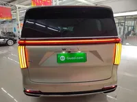 Wey Gaoshan 2023 (36100 км)
