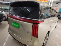 Wey Gaoshan 2023 (36100 км)