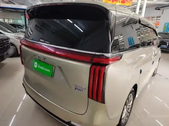 Wey Gaoshan 2023 (36100 км)