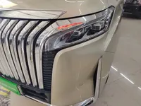Wey Gaoshan 2023 (36100 км)