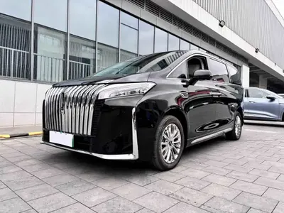 Wey Gaoshan 2023 (38300 км)