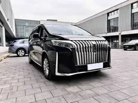 Wey Gaoshan 2023 (38300 км)