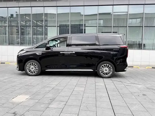 Wey Gaoshan 2023 (38300 км)