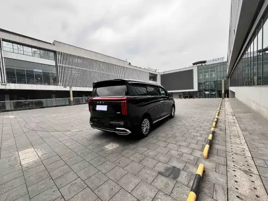 Wey Gaoshan 2023 (38300 км)