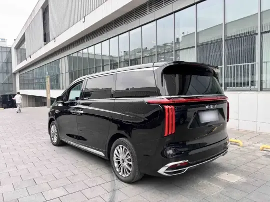 Wey Gaoshan 2023 (38300 км)
