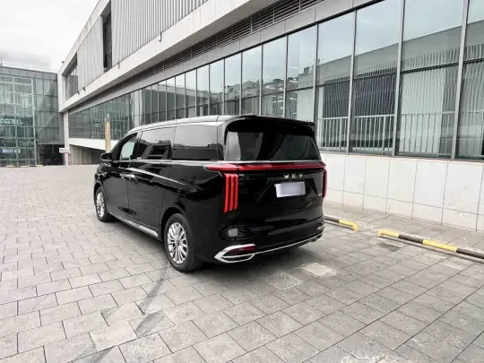 Wey Gaoshan 2023 (38300 км)