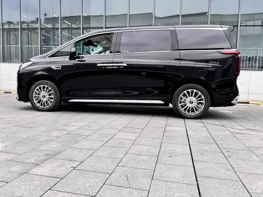 Wey Gaoshan 2023 (38300 км)