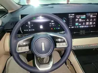 Wey Gaoshan 2023 (38300 км)