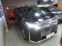 Wey Gaoshan 2023 (38300 км)