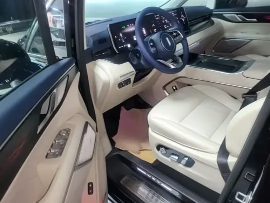 Wey Gaoshan 2023 (38300 км)
