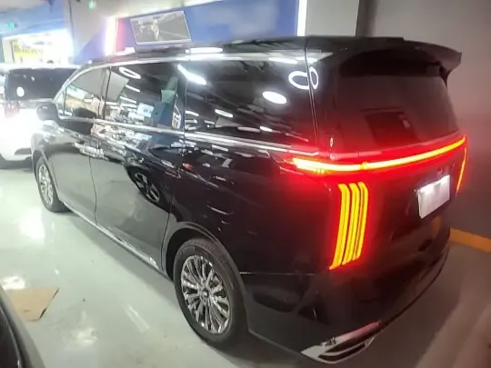 Wey Gaoshan 2023 (38300 км)