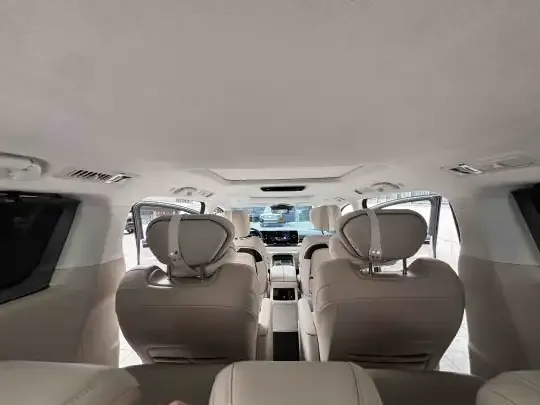 Wey Gaoshan 2023 (38300 км)
