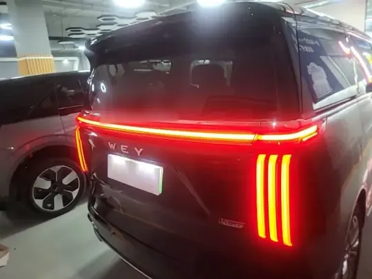 Wey Gaoshan 2023 (38300 км)