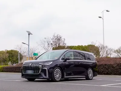 VOYAH Dream 2024 (41100 км)