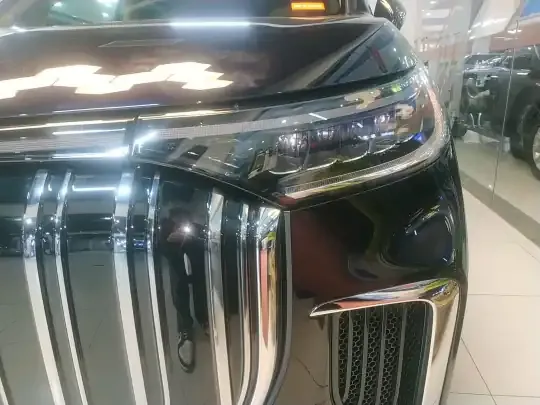 VOYAH Dream 2024 (41100 км)