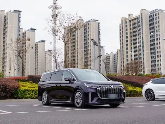 VOYAH Dream 2024 (41100 км)