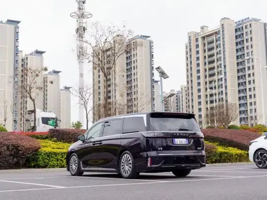 VOYAH Dream 2024 (41100 км)