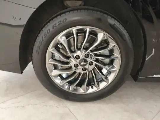 VOYAH Dream 2024 (64500 км)