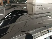 VOYAH Dream 2024 (64500 км)