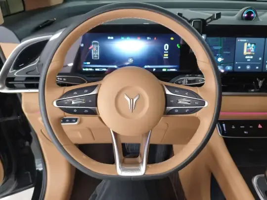 VOYAH Dream 2024 (64500 км)