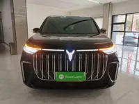 VOYAH Dream 2024 (64500 км)