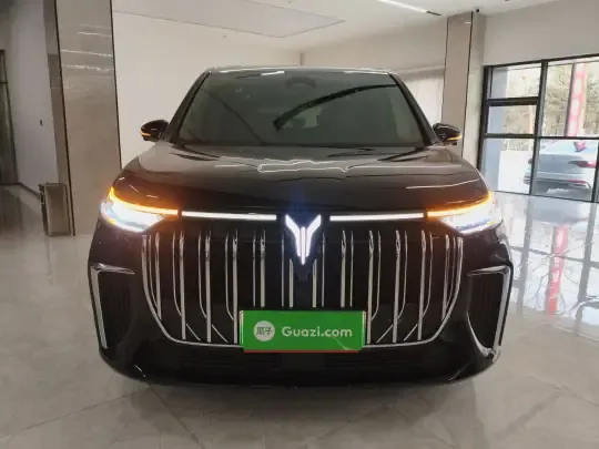 VOYAH Dream 2024 (64500 км)