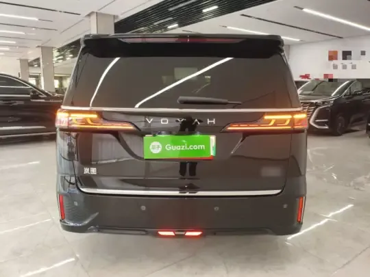 VOYAH Dream 2024 (64500 км)