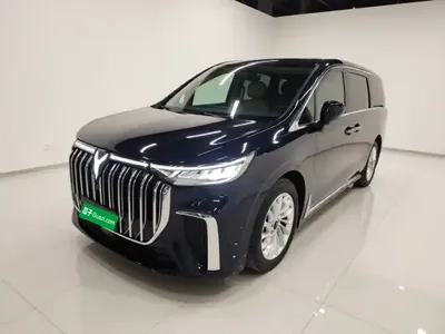 VOYAH Dream 2024 (11600 км)