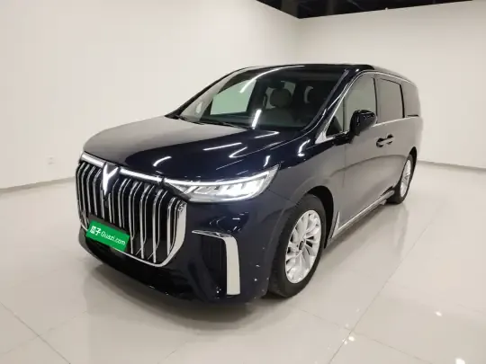 VOYAH Dream 2024 (11600 км)