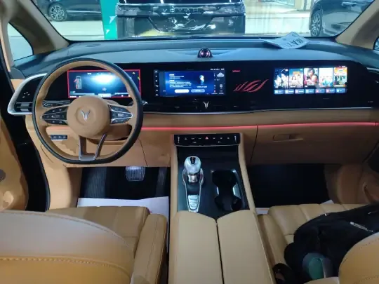VOYAH Dream 2024 (11600 км)