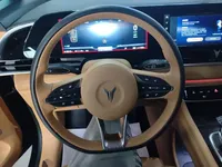 VOYAH Dream 2024 (11600 км)