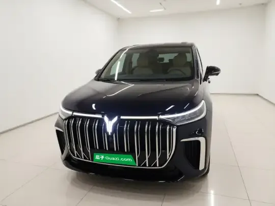 VOYAH Dream 2024 (11600 км)