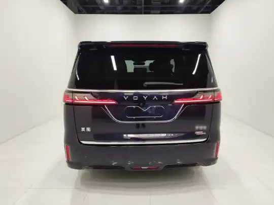 VOYAH Dream 2024 (11600 км)