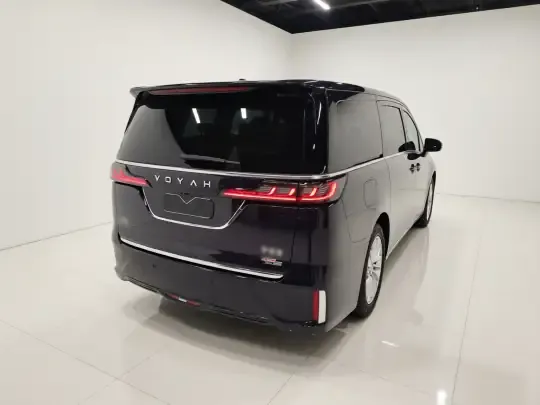 VOYAH Dream 2024 (11600 км)