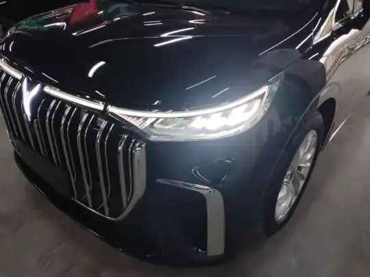 VOYAH Dream 2024 (11600 км)