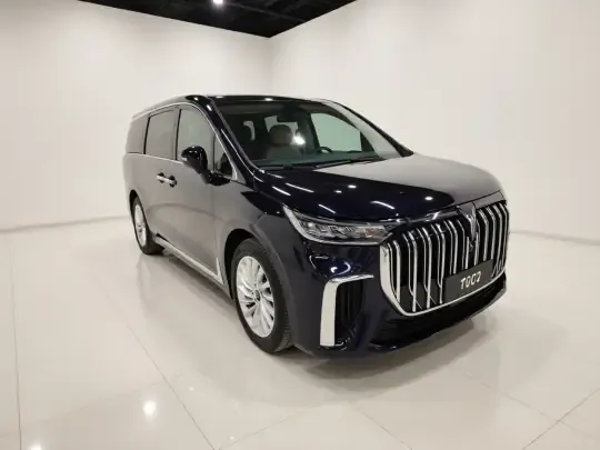 VOYAH Dream 2024 (11600 км)