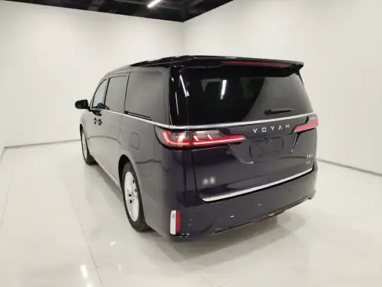 VOYAH Dream 2024 (11600 км)