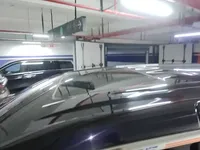 VOYAH Dream 2024 (38400 км)