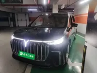 VOYAH Dream 2024 (38400 км)