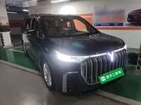 VOYAH Dream 2024 (38400 км)
