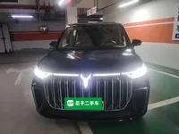 VOYAH Dream 2024 (38400 км)