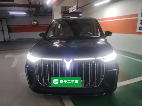 VOYAH Dream 2024 (38400 км)
