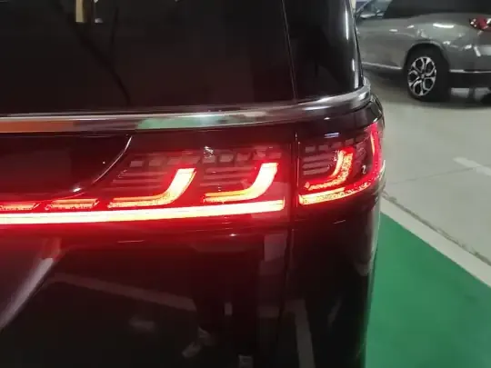 VOYAH Dream 2024 (38400 км)