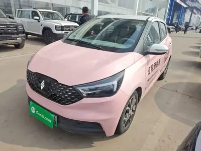 JMEV Ezi EV3 2023 (25200 км)