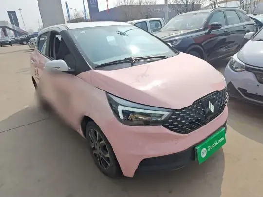 JMEV Ezi EV3 2023 (25200 км)