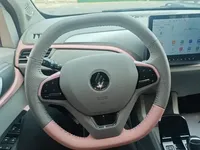 JMEV Ezi EV3 2023 (13900 км)